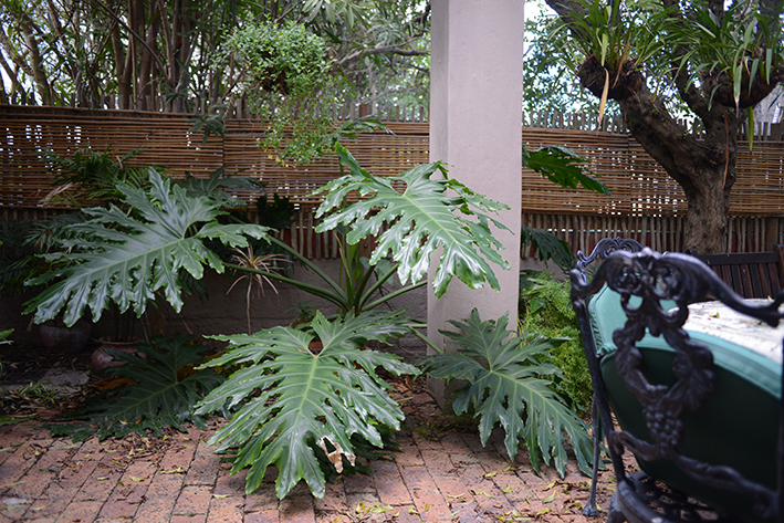 The secluded garden/patio is a lush escape.