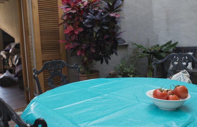 a turquoise table cloth and a red tomato